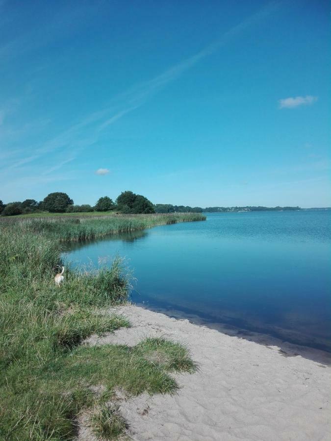 Lohmann * Fleckeby